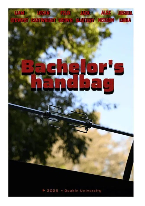 Bachelors Handbag poster