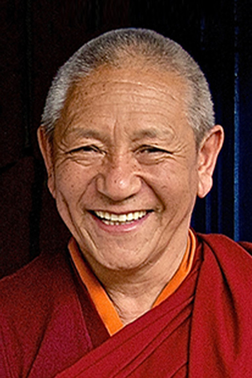 Pema Dorjee profile
