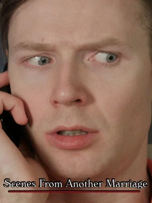 Scenes from Another Marriage poster