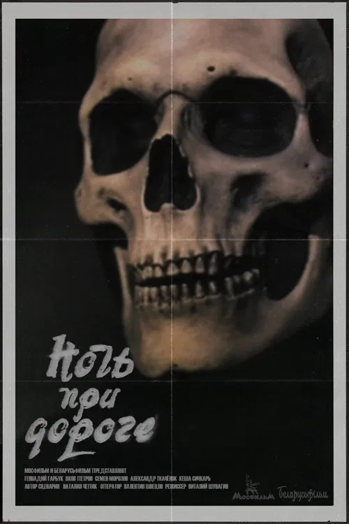 Night on the Road poster