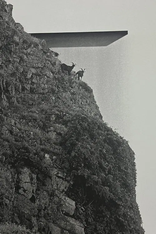 Orchid Island poster