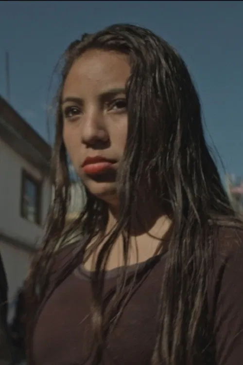 The Girls Who Were Not Afraid poster