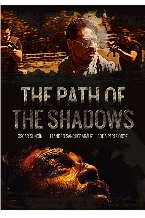 The path of the shadows poster