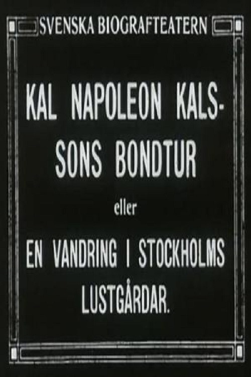 Kal Napoleon Kalsson's Farm Ride poster