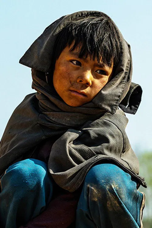 Qiulang Jia Yang profile