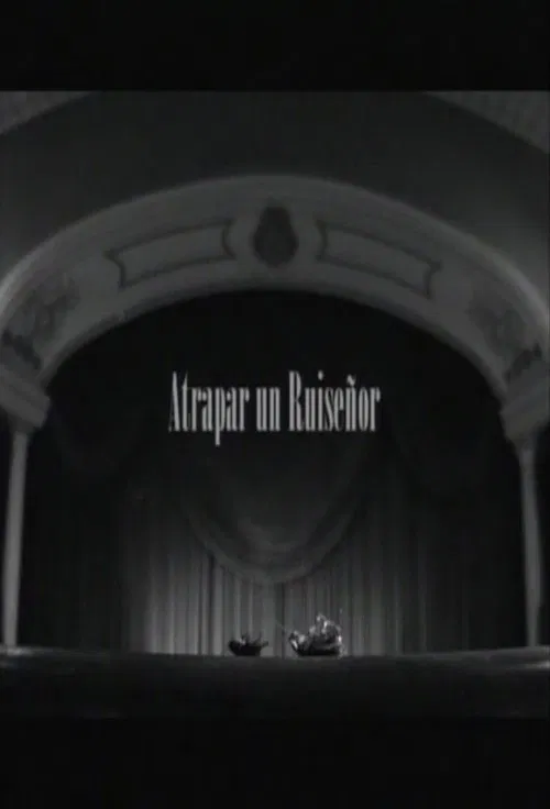 Atrapar un ruiseñor poster