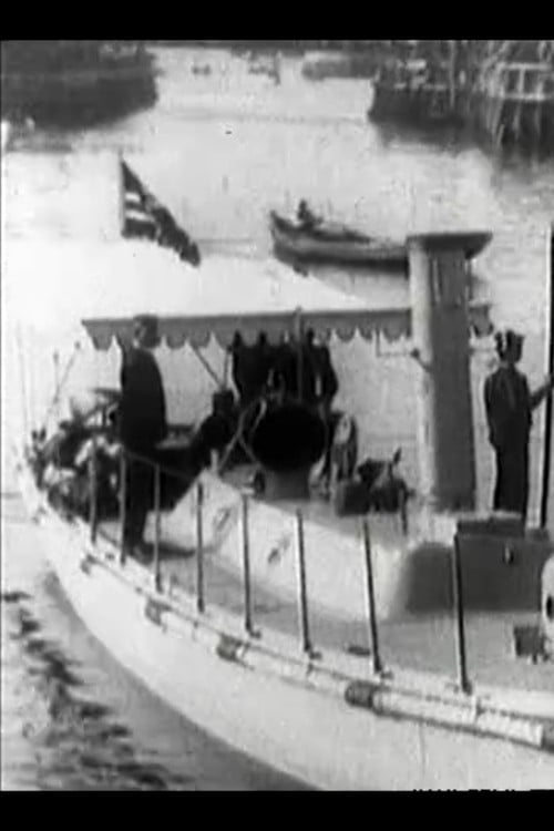 Kong Haakons og Dronning Mauds Besøg i Danmark poster