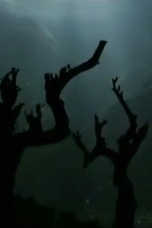 The Nu Family poster