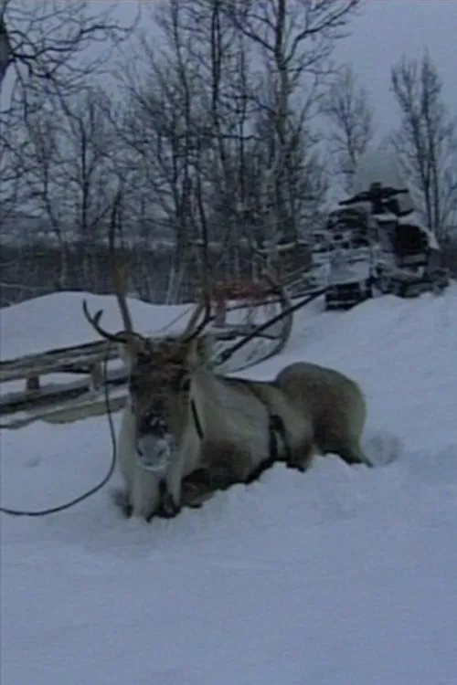 Niestebohcco njuovvan poster