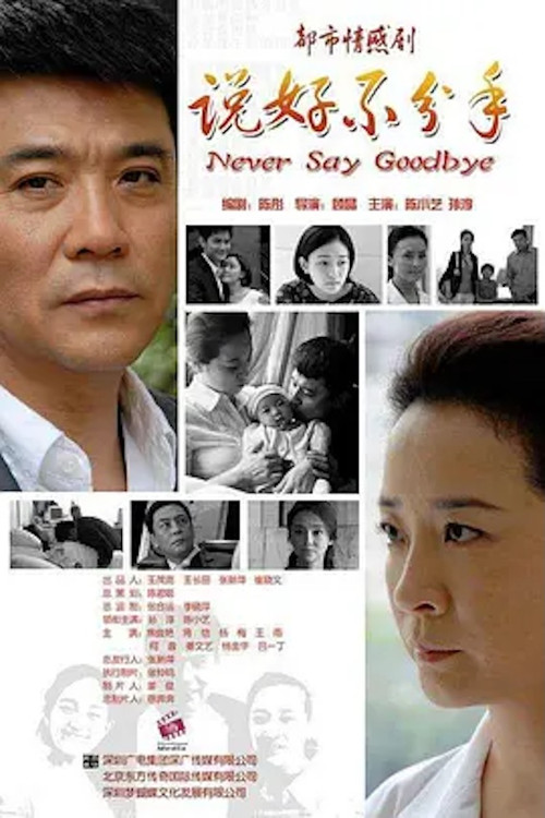 说好不分手 poster