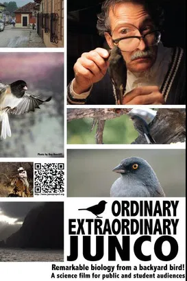Ordinary Extraordinary Junco poster