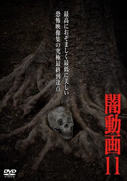 Tokyo Videos of Horror 11 poster