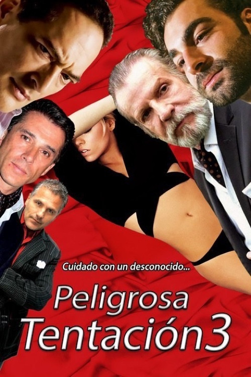 Peligrosa tentación 3 poster