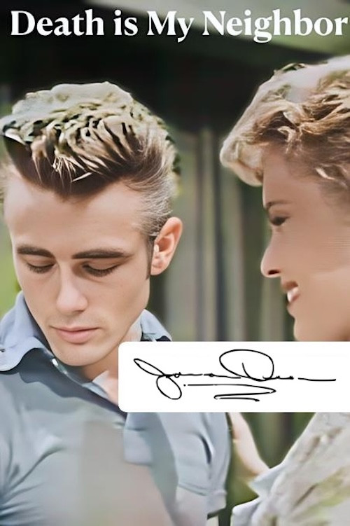 Death Is My Neighbor poster