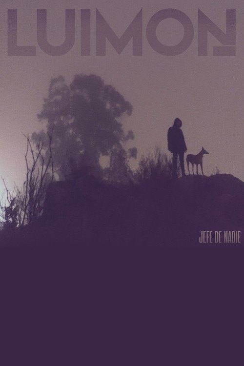 Jefe de Nadie poster