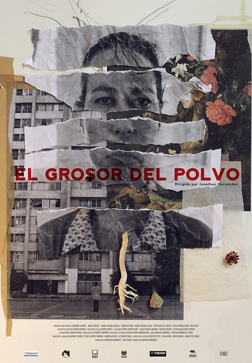 El Grosor del Polvo poster