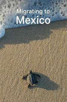 Migrating to Mexico poster