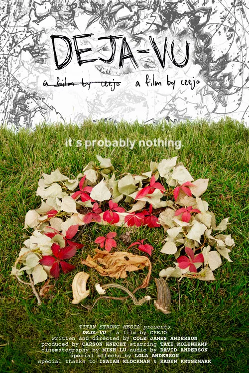 DEJA-VU poster