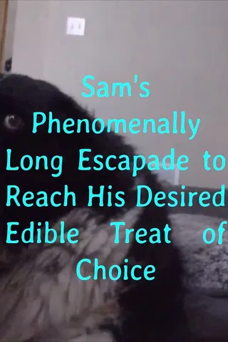 Sam's Phenomenally Long Escapade to Reach His Desired Edible Treat of Choice poster