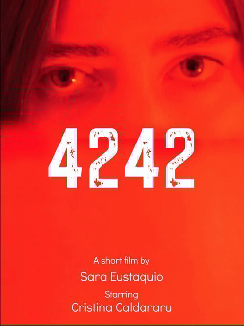 4242 poster