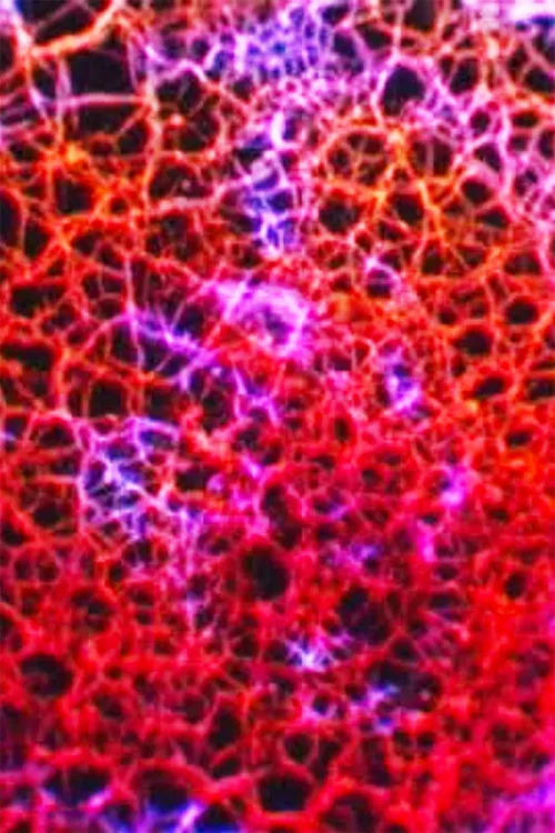 Direction Finder poster