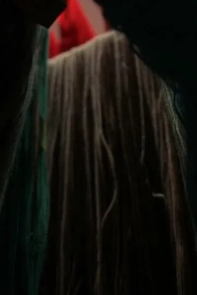 The Scarlet Phantoms poster