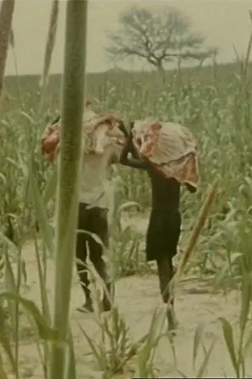 Mahauta: Les bouchers du Mawri poster