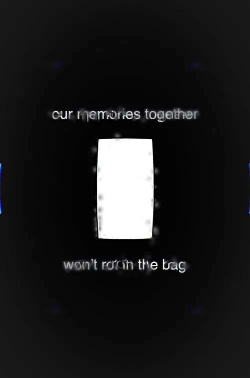 Our Memories Together Won't Rot in the Bag poster