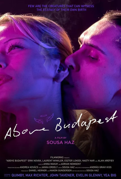 Above Budapest poster