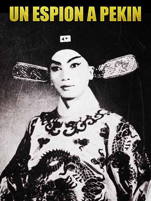 Un espion à Pékin poster