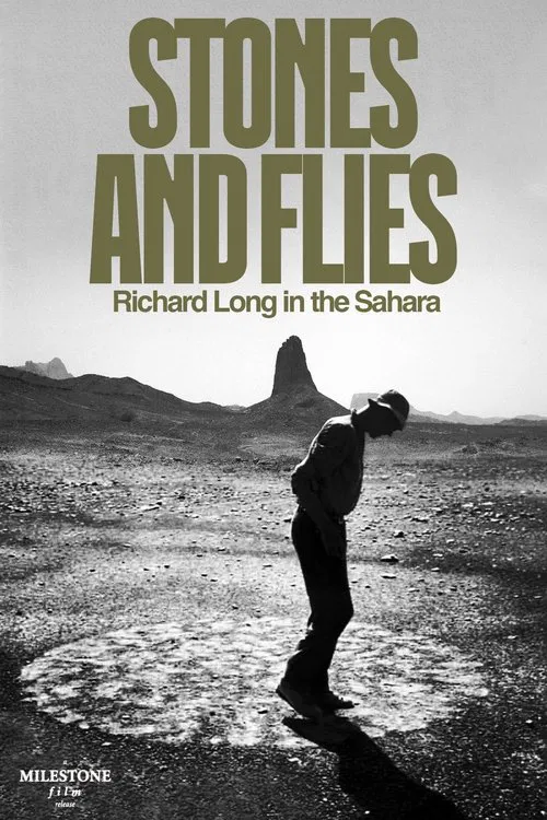 Stones and Flies: Richard Long in the Sahara poster