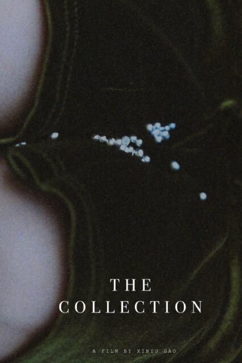 The Collection poster