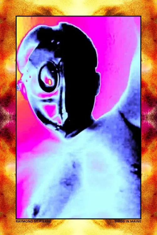 Birds in Maine poster