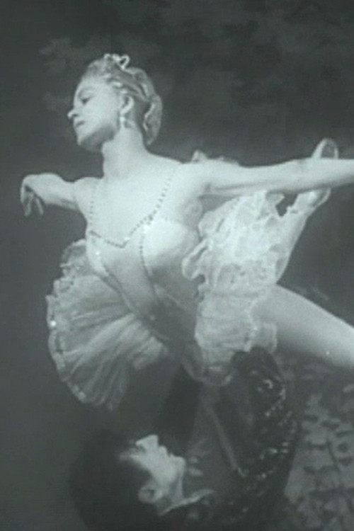 Dreams and Destinies poster