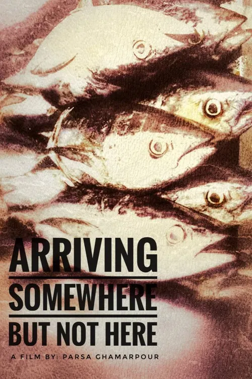 Arriving Somewhere But not here poster