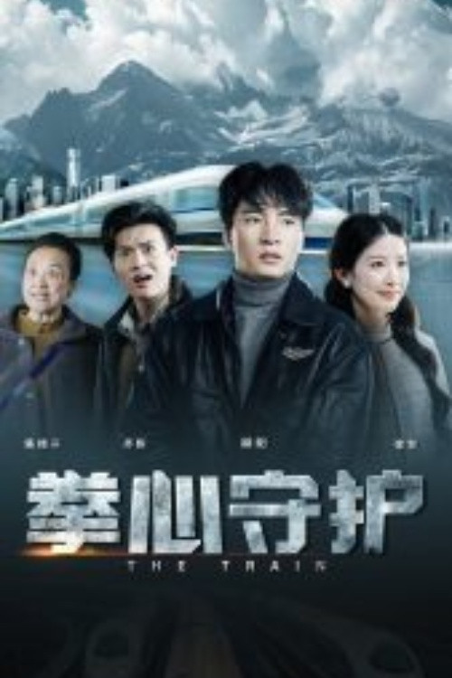 拳心守护 poster