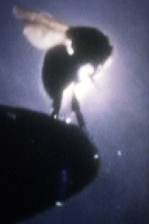 UFO Flying Course poster