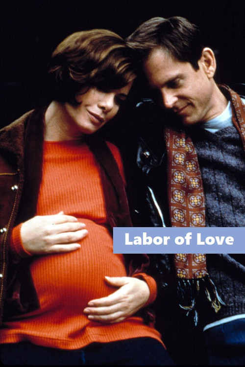 Labor of Love poster