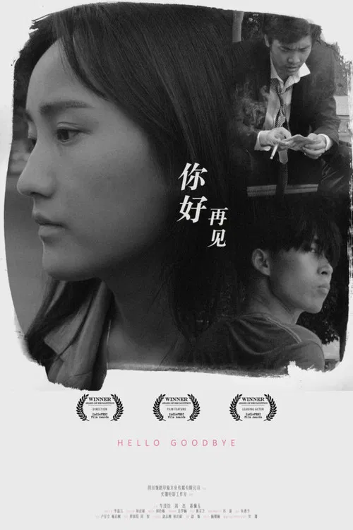 Hello, Goodbye poster