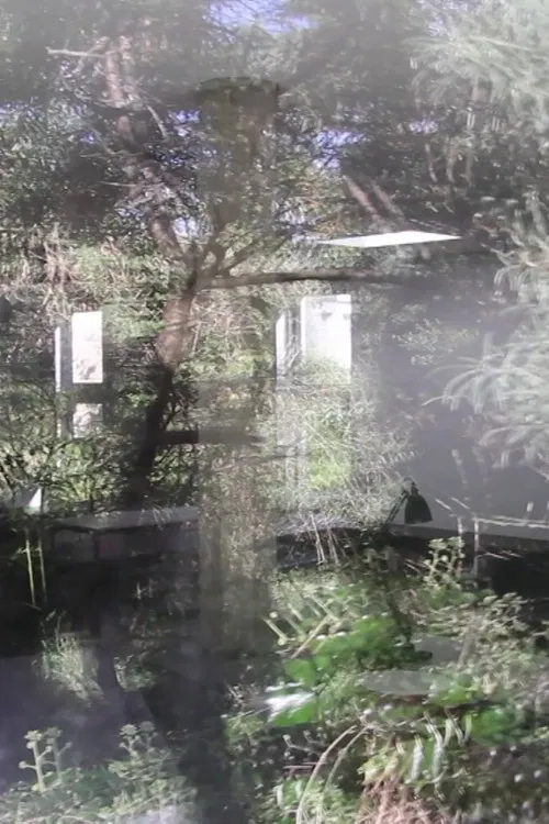 3 Church Walk poster