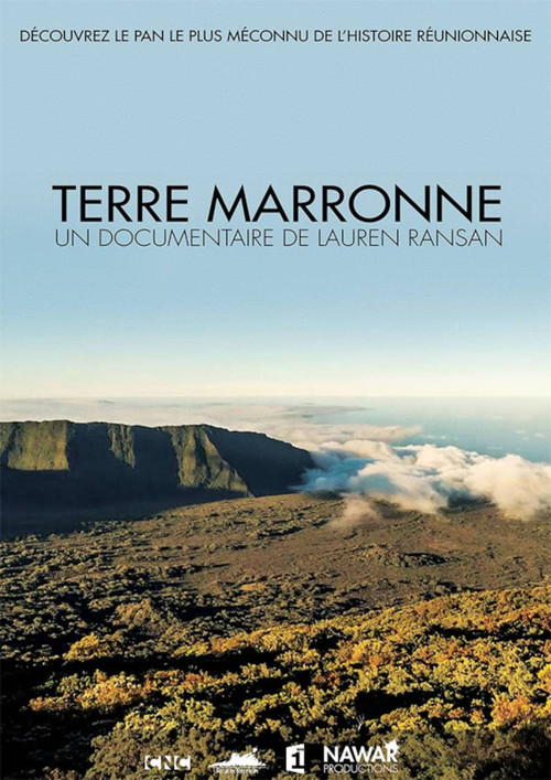 Terre marronne poster