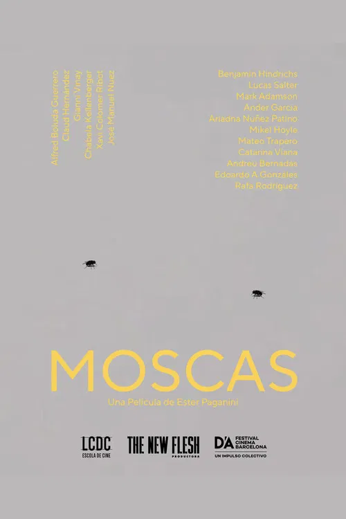 Moscas poster