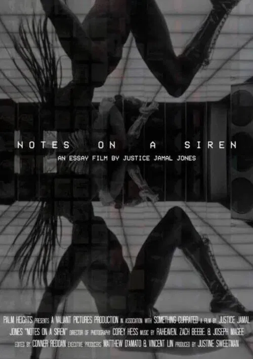 Notes On A Siren poster