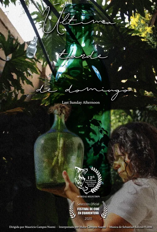 Last Sunday Afternoon poster