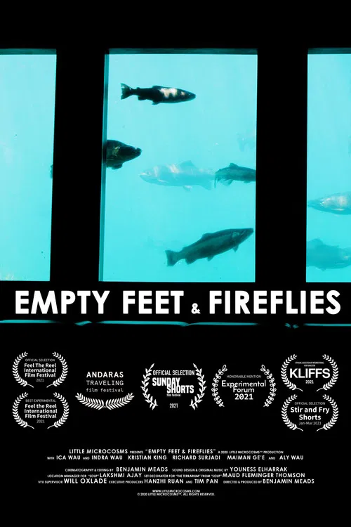 Empty Feet & Fireflies poster
