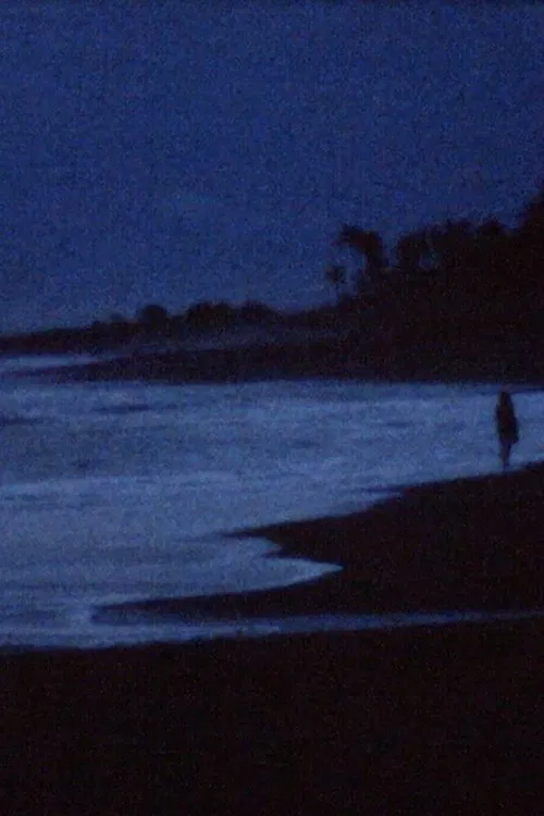 A conversation with the ocean poster