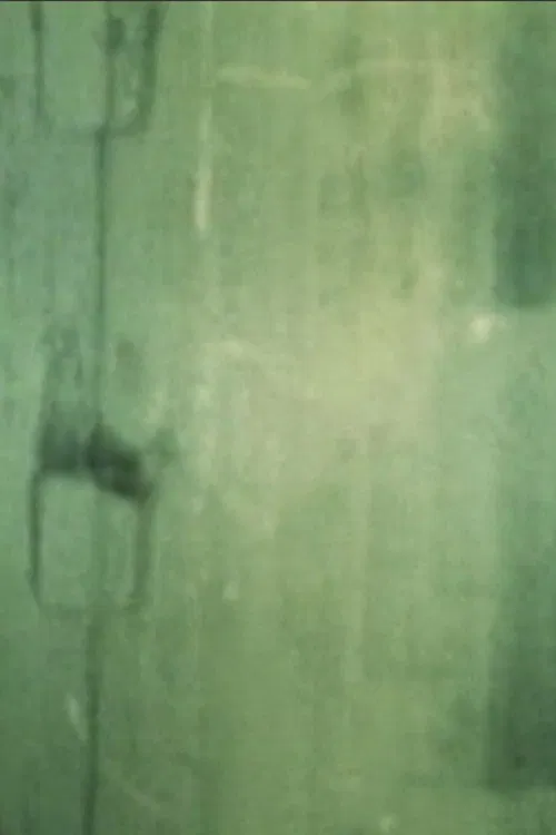 CLONE CHROMOSOME poster