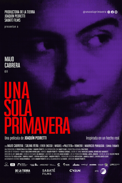 Just One Spring poster