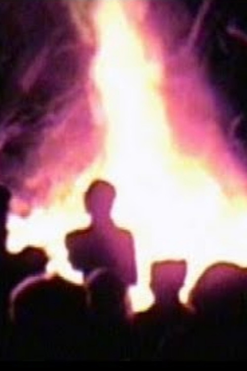 Just Coincidence poster