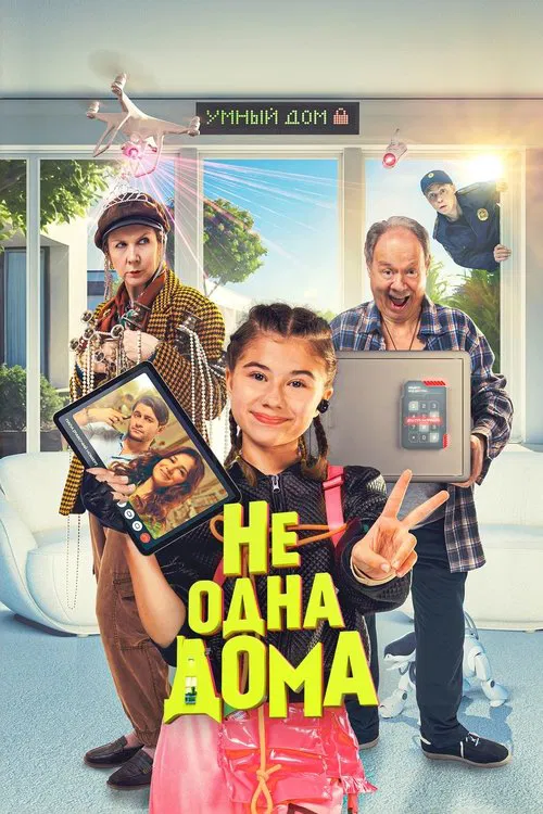 Not Home Alone poster